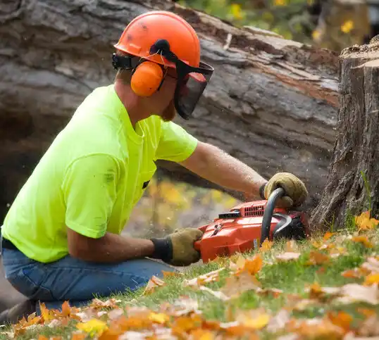 tree services Hatton